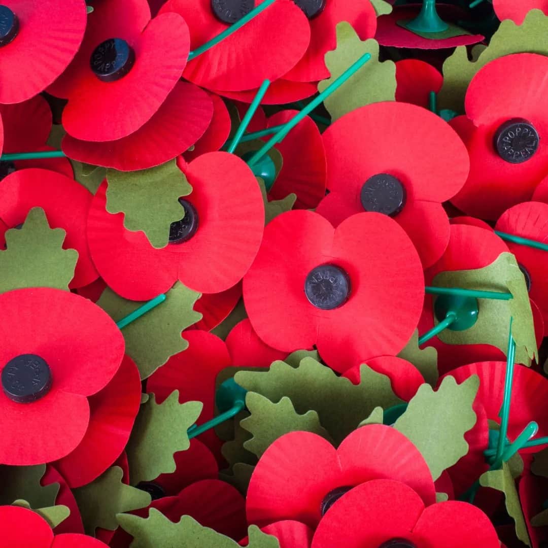 Stone Poppy Appeal 2026: Where to Buy Poppies — Stone news photo